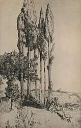 Ciprusfák Siena közelében, 1903