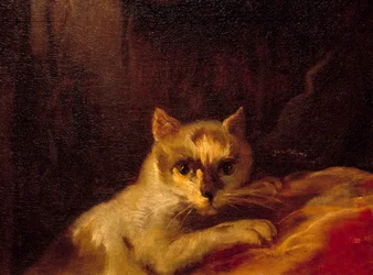 Mademoiselle de Charolais A macskát ábrázoló részlet. Charles Joseph Natoire festménye (Charles-Joseph Natoire
