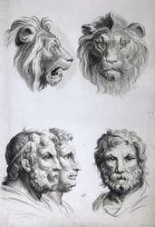 Hasonlóságok egy oroszlán és egy ember feje között, Le Brun „Livre de portraiture pour ceux qui commencent à dessiner” című művéből
