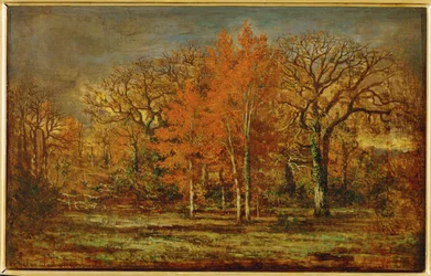Forest fringe (festmény vászonra)