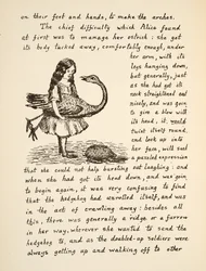 Alice tartja a struccát, illusztráció az Alices Adventures Under Ground-ból, pub. 1886 (fax)