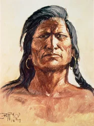 Shoshone Tribesman