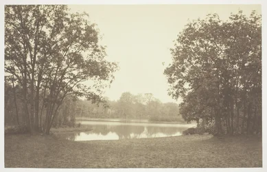 Névtelen