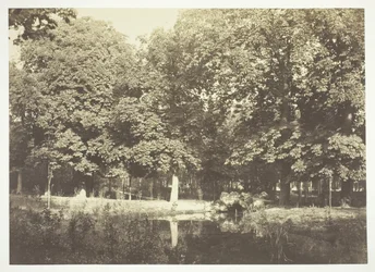 Cím nélkül, c. 1850. [Fák a víz közelében a Bois de Boulogne-ban, egy párizsi park].
