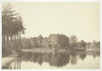 Cím nélkül, c. 1850. [Fák a víz közelében a Bois de Boulogne-ban, egy párizsi park].