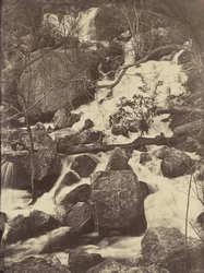[Fák és vízesések], 1860-65.