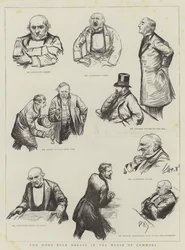 A Home Rule Debate az alsóházban