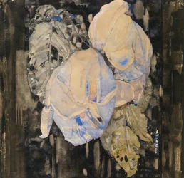 Faded roses