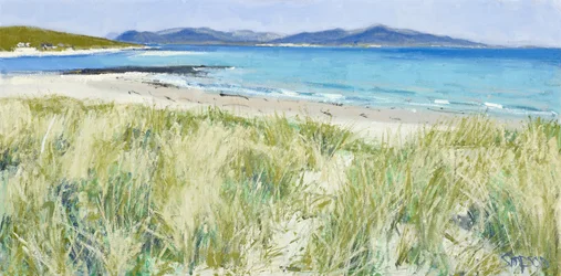 Strandfű, Berneray, 2011 (olaj, vászon)