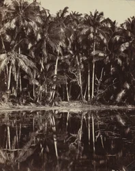 Tetiaroa – Paumotu lagúna, 1880-as vagy 1890-es évek.