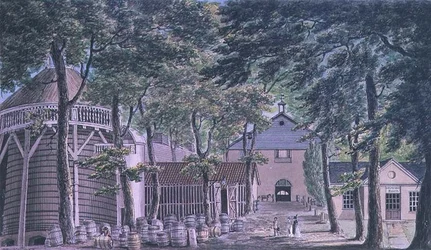 Mrs. Beaufoy, Ecetlepárló, korábban Cupor Gardens
