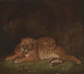 Tigrisek