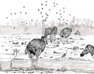 Safari 2, 2018 (tinta és akvarell)