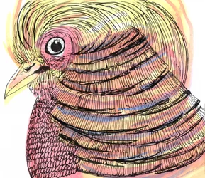Tropical Bird, 2018 (toll, tus és akvarell)
