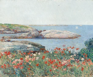 Pipacsok, Shoals-szigetek
