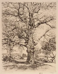 Wayside Inn Oaks tavasszal