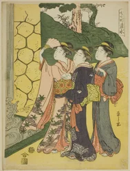 Shimizu, a "Seven Komachi (7 Komachi)" sorozatból