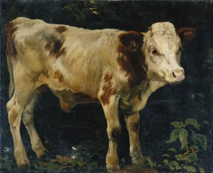 Egy bikaborjú, 1876