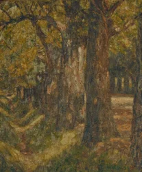 Belvedere Allee a nyár közepén