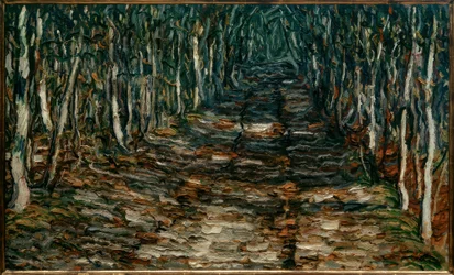 Erlingi erdei ösvény