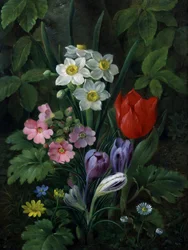 Kerti virágok tavasszal (beleértve a százszorszépeket, tulipánokat, nárciszokat, krókuszokat és prímásokat). Christine Marie Lovmand (1803-1872) festménye Magángyűjtemény.