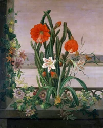 Csendélet kaktuszokból, liliomból és passióvirágból az ablakpárkányon. Christine Marie Lovmand (1803-1872) festménye. Magángyűjtemény.