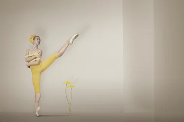 Sárga balerina, Grace