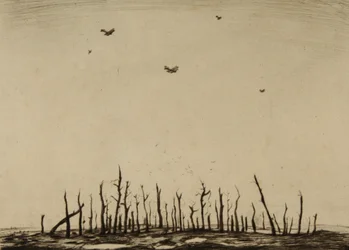 The cursed wood