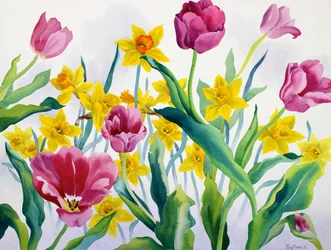 Nárciszok és tulipánok (akvarell papíron)