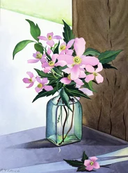 Csendélet Pink Clematis (akvarell papíron)
