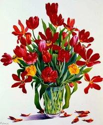 Tulipán (wc papíron)