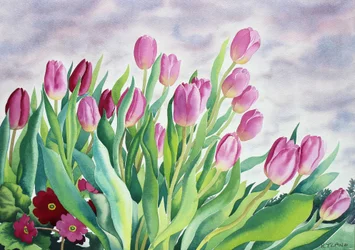 Tulipánok ablakon (akvarell, papír)