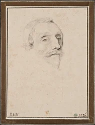 Richelieu bíboros