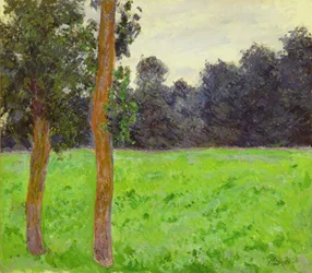 Két fa a réten, 1886