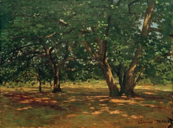 Fontainebleau-i erdő