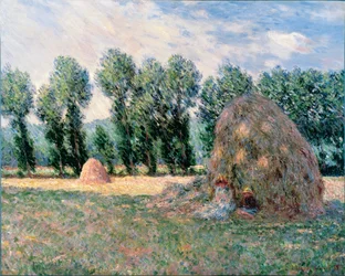 Szénakazlak