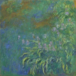 Íriszek, 191417.
