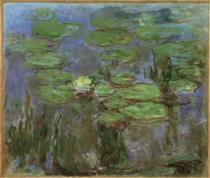 Nymphéas
