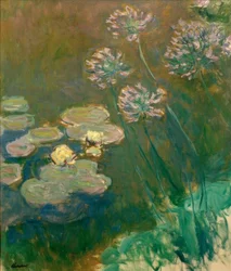Nymphéas et Agapanthes (tavirózsa és agapanthus)
