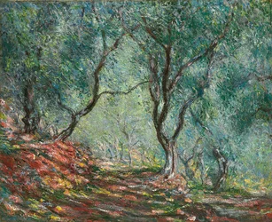 Olajfák a Moreno kertben; Olajfaliget a Moreno kertben, 1884