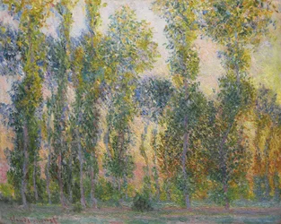 Nyárfák Givernyben, 1887