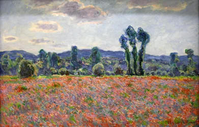 „Mákmező”, 1887