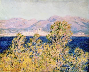 Kilátás a Cap d"Antibesre a Mistral fújásával, 1888