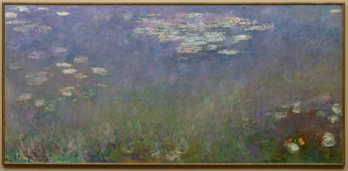 Tavirózsa Agapanthus, c. 1915-26.