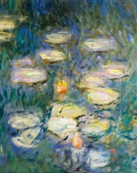 Tavirózsa, Claude Monet, részlet