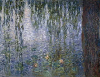Tavirózsa, Claude Monet, részlet