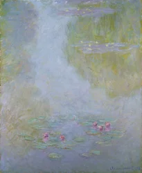 "Tavirózsa", 1908