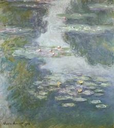 Tavirózsa, Nympheas, 1908