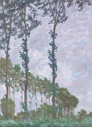 Szélhatás, Nyárfák sorozata, 1891