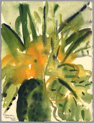 Primroses, 2005 (akvarell)